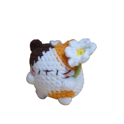 Little Square Cute Kitten Collection