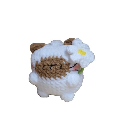 Little Square Cute Kitten Collection