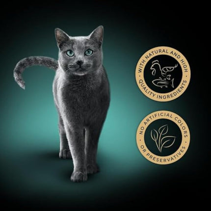 Sheba Fillets Cat Food Tray with Chicken, Shrimp and Ocean Fish in Gravy 2x16x60g