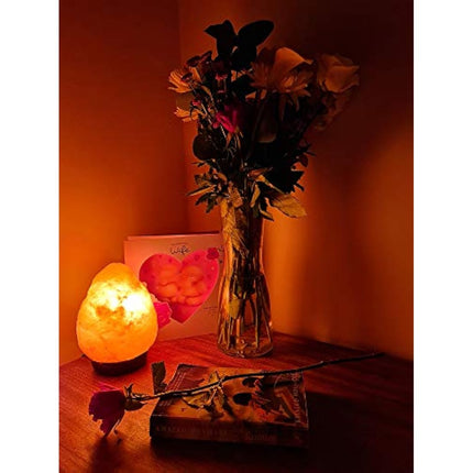 Needs&Gifts 2-3 KG Prime Quality 100% Original Himalayan Crystal Rock Salt Lamp Natural from Foothills of The Himalayas Beautifully Hand Craft Comes with Complete Electric Fitting Guaranteed