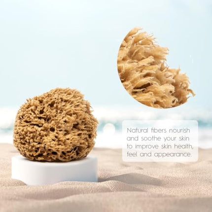 NAROA Natural Soft Honeycomb Sea Sponges for Shower in Gift Box | Gentle Sea Loofah for Healthy Skin | Smooth Body Puff Relaxing Bathing Men Women (Small)
