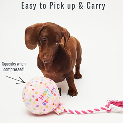 Pet London Birthday Pink Balloon Dog Toy - Celebrate Dog's Happy Birthday - Plush colourful Rainbow Confetti Pattern Dog Party Gift-Perfect Pup Special Day Present-UK Designer Brand-BDAY or Adoption