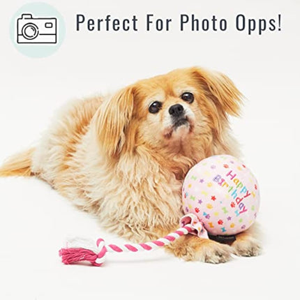 Pet London Birthday Pink Balloon Dog Toy - Celebrate Dog's Happy Birthday - Plush colourful Rainbow Confetti Pattern Dog Party Gift-Perfect Pup Special Day Present-UK Designer Brand-BDAY or Adoption