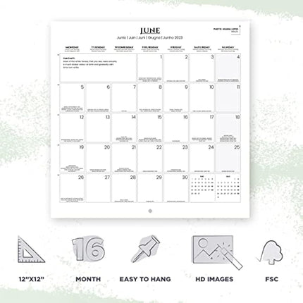 Grupo Erik Horses Wall Calendar 2023 12' x 12' FSC| 12 Month Planner | Square Wall Calendar 2023 | Family Planner Calendar 2023 | Horse Calendar 2023 | + 4 Bonus Months