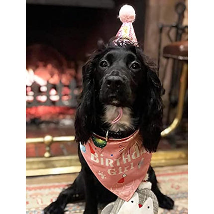 BIPY Dog 1st Birthday Hat Bandanas Set for Girls Small Medium Pets Pink Headdress Costumes Grooming Supplies for Party Celebration Decoration