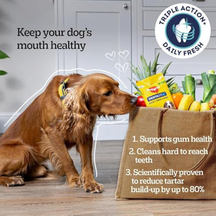 Pedigree Dentastix - Daily Fresh Dental Chews - Dog Treats for Small Dog - 70 Sticks (Pack of 10)