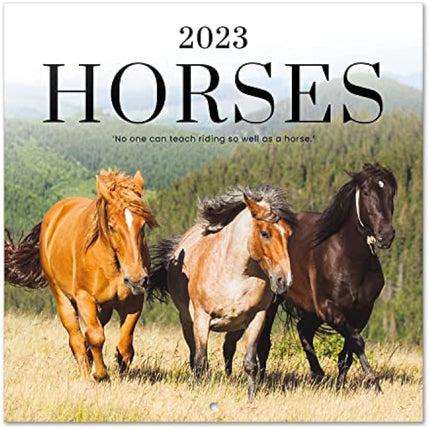 Grupo Erik Horses Wall Calendar 2023 12' x 12' FSC| 12 Month Planner | Square Wall Calendar 2023 | Family Planner Calendar 2023 | Horse Calendar 2023 | + 4 Bonus Months