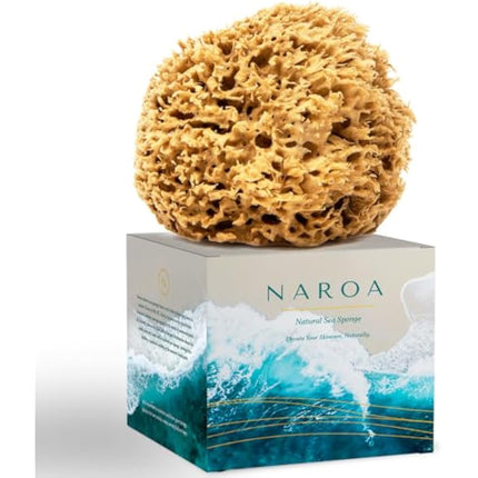 NAROA Natural Soft Honeycomb Sea Sponges for Shower in Gift Box | Gentle Sea Loofah for Healthy Skin | Smooth Body Puff Relaxing Bathing Men Women (Small)