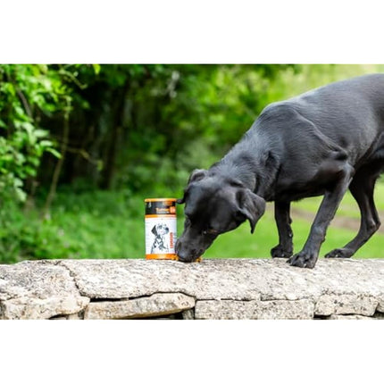 The Golden Paste Company TurmerEase Chicken & Turmeric Joint Supplements for Dogs & Cats - Health, Mobility & Digestion Support - Natural Grain Free Dog Treats - Pet Joint Care, Wellness & Digestion