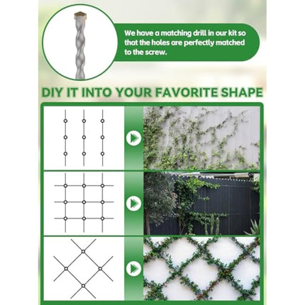 185PCS Garden Wire Trellis for Climbing Plants, Kalolary 30M Stainless Steel Heavy Duty Wire Trellis Kit Wall Plant Climbing T316 Steel Wire Rope Cross Clamp Cable Trellis System Kit for Flower Vines