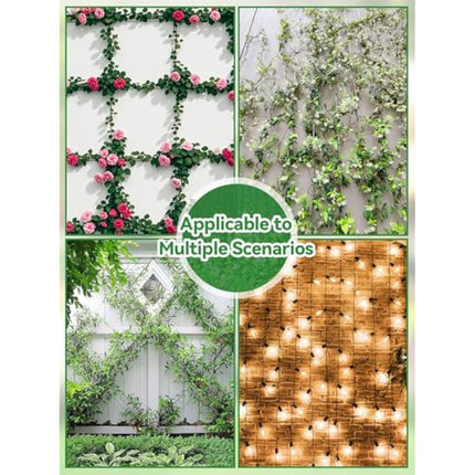 185PCS Garden Wire Trellis for Climbing Plants, Kalolary 30M Stainless Steel Heavy Duty Wire Trellis Kit Wall Plant Climbing T316 Steel Wire Rope Cross Clamp Cable Trellis System Kit for Flower Vines