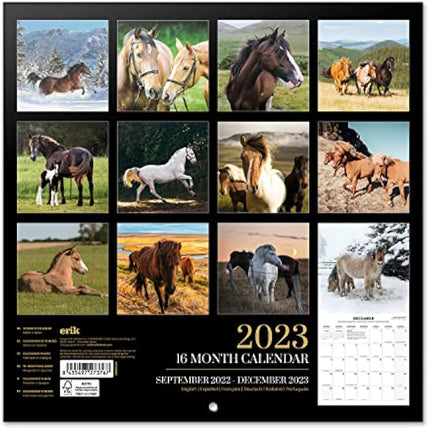 Grupo Erik Horses Wall Calendar 2023 12' x 12' FSC| 12 Month Planner | Square Wall Calendar 2023 | Family Planner Calendar 2023 | Horse Calendar 2023 | + 4 Bonus Months