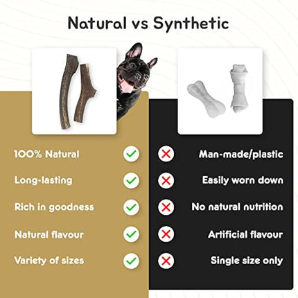 Ace Antlers Deer Antlers for Dogs (Monster 600-700g Piece) - Natural Dog Antler Chews for Chewing Satisfaction - 8 Sizes inc Small, Medium and Large Antlers for Puppies and Adult Dogs