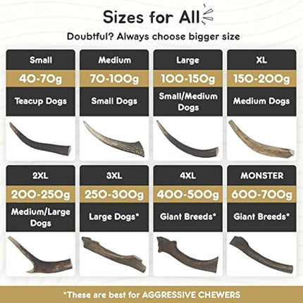 Ace Antlers Deer Antlers for Dogs (Monster 600-700g Piece) - Natural Dog Antler Chews for Chewing Satisfaction - 8 Sizes inc Small, Medium and Large Antlers for Puppies and Adult Dogs