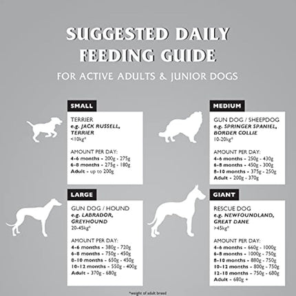 Dr. John Titanium Complete Dry Dog Food 15kg - Chicken, Vegetables and New Zealand Green-Lipped Mussel - Complete Nutrition for Active Adult and Junior Dogs