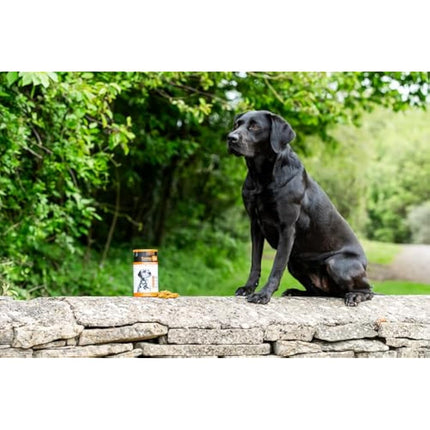 The Golden Paste Company TurmerEase Chicken & Turmeric Joint Supplements for Dogs & Cats - Health, Mobility & Digestion Support - Natural Grain Free Dog Treats - Pet Joint Care, Wellness & Digestion