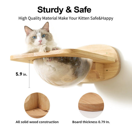 FUKUMARU Cat Wall Furniture Set, Rubber Wood, Transparent Capsule Cat Wall Shelves with 2 PCS Pedals - Premium Kitty Bed for Sleeping, Playing,