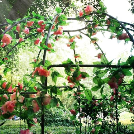 OUTOUR® French Style 4-Sided Birdcage Shape Metal Gazebo Pergola Pavilion Arch Arbor Arbour Plants Stand Rack for Outdoor Garden Lawn Backyard Patio, Climbing Vines, Roses, Flowers, Dark Rust