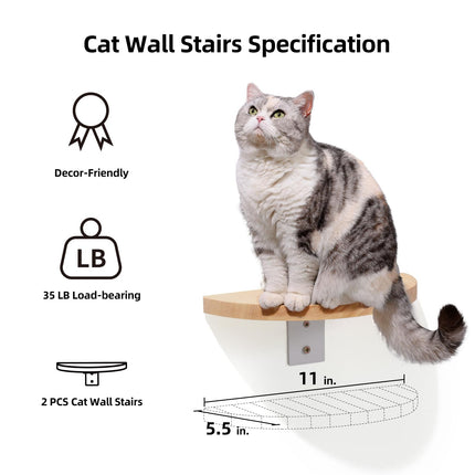 FUKUMARU Cat Wall Furniture Set, Rubber Wood, Transparent Capsule Cat Wall Shelves with 2 PCS Pedals - Premium Kitty Bed for Sleeping, Playing,