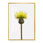 16Style / PS / 30x40