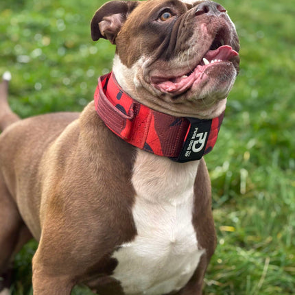 7cm Sport Collar Red Camo