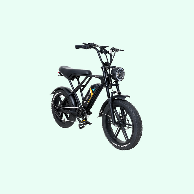 Colorway BK29 Electric Bike – 250W, 15Ah Battery