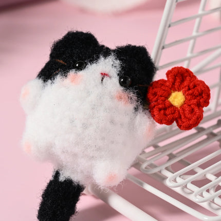 Little Square Cute Kitten Collection