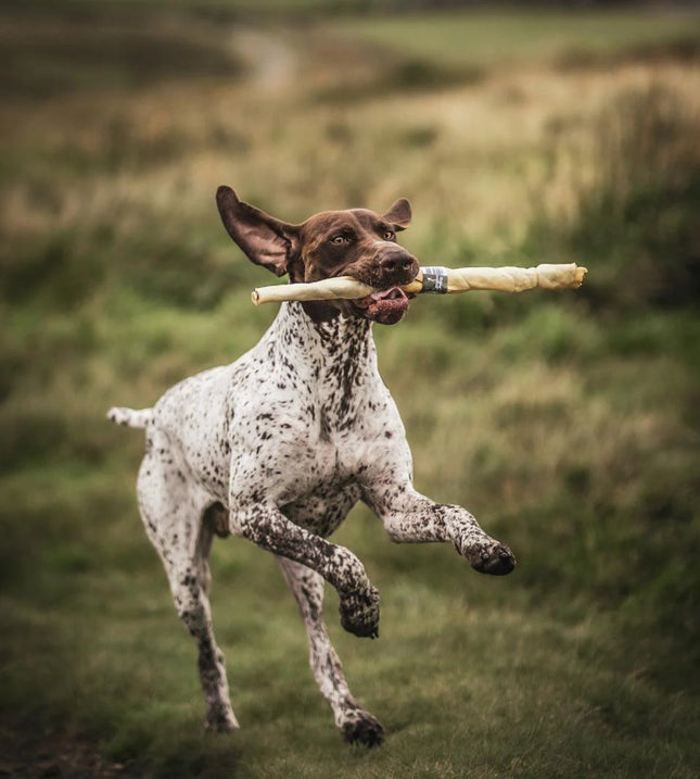 Anco Naturals Giant Bully Roll
