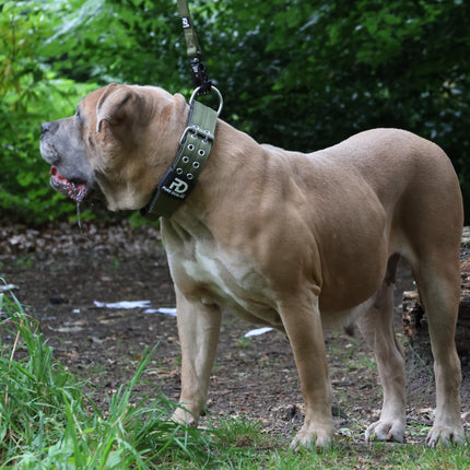 5cm Sport Collar Khaki