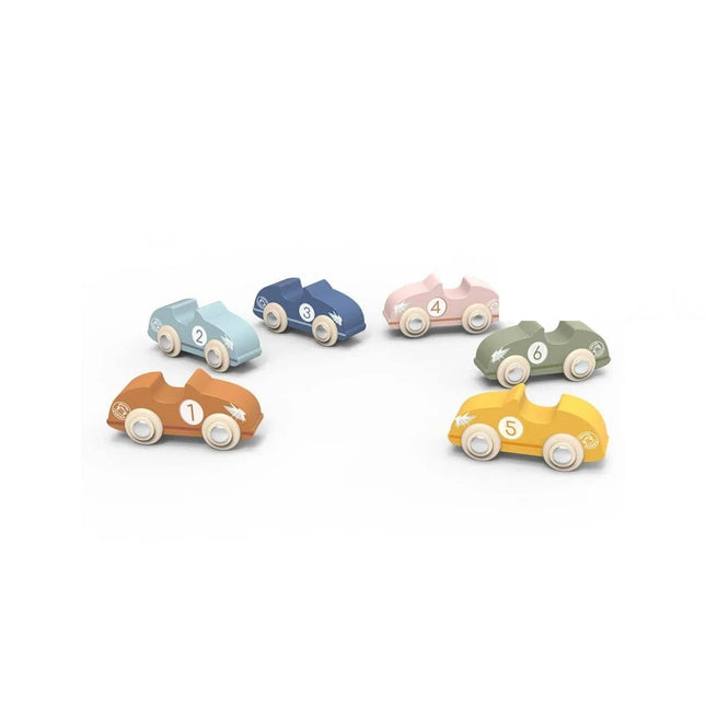 Speedy Monkey Racing Cars