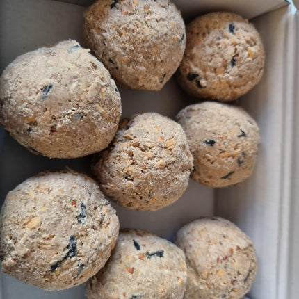 Fat Ball 8 Box - CLEARANCE