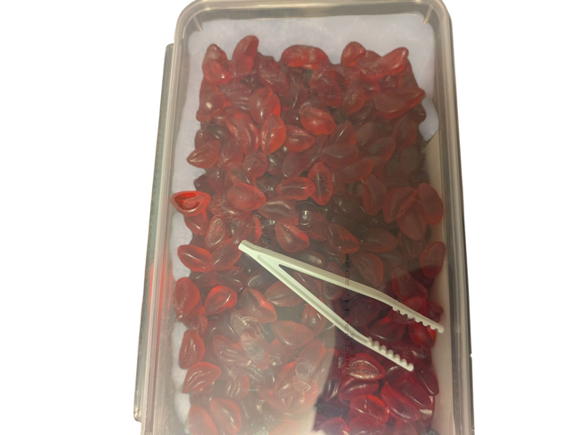 Candy Realms Juicy Lips – 1.02kg Tub