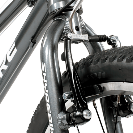 Shyre Hopton 20" Wheel Hybrid Kids Bike