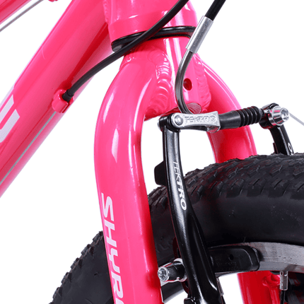 Shyre Hopton 20" Wheel Hybrid Kids Bike