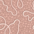 Curved Piped Headboard / The Wiggle / Belle Blush